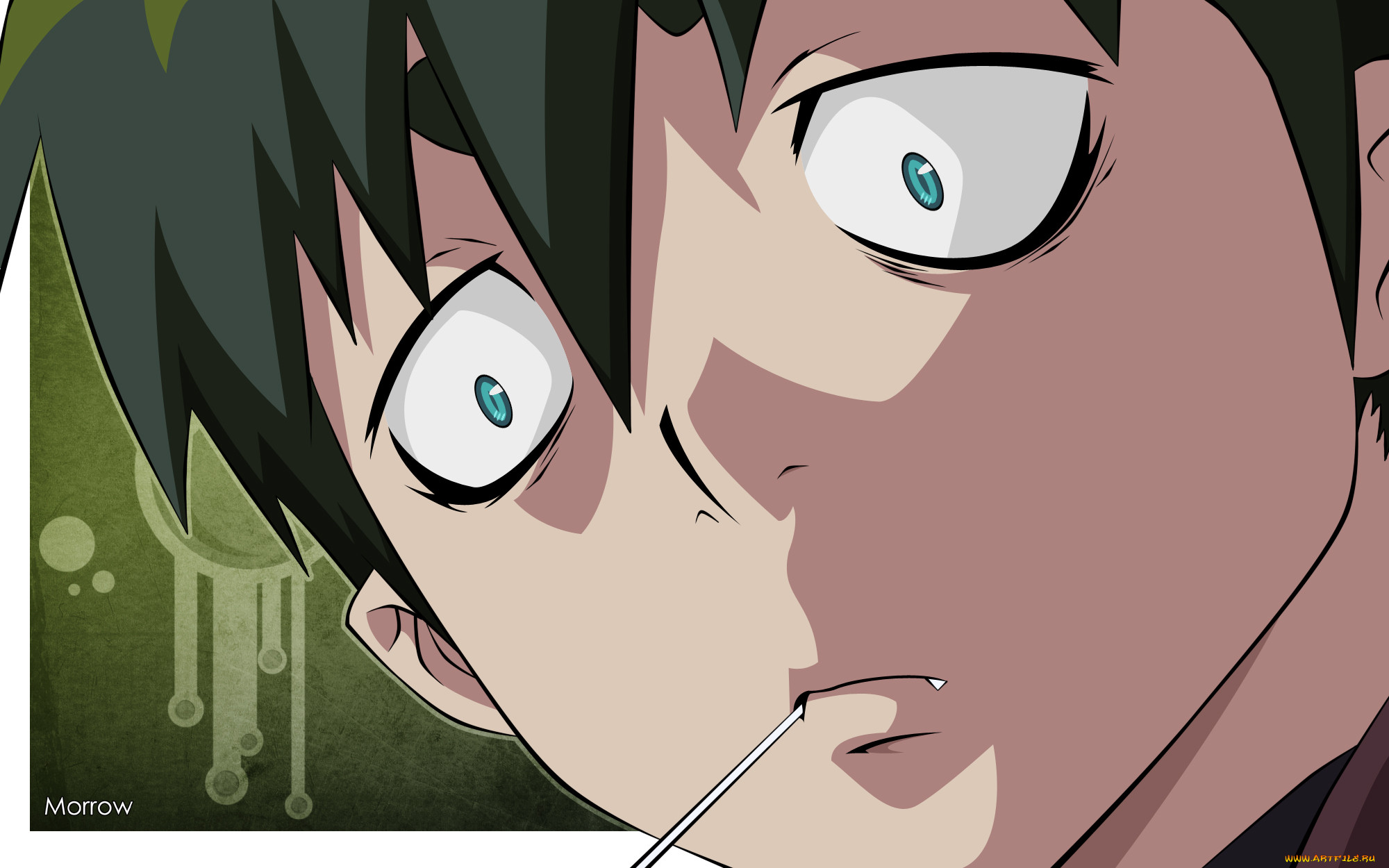 , ao no exorcist, 
